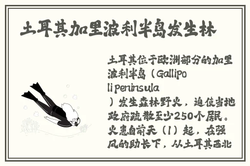 日本双人摇床打扑克
